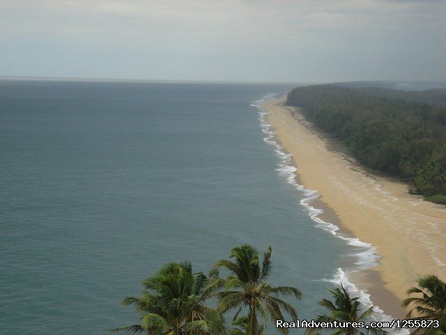 Ezhimala Beach | Top luxury resort in Ezhimala, Kerala, India | Image #17/19 | 