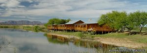 Romantic and weekend tours in Africa | Pretoria, South Africa Wildlife & Safari Tours | Hoedspruit, South Africa