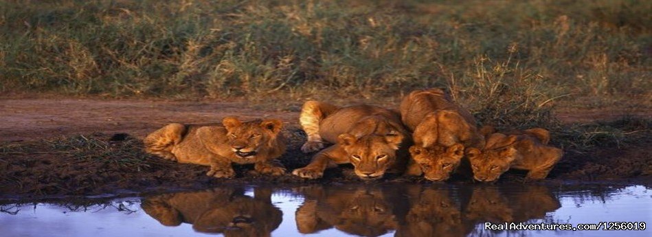 South Africa Tours & South Africa Safari | Romantic and weekend tours in Africa | Image #2/2 | 