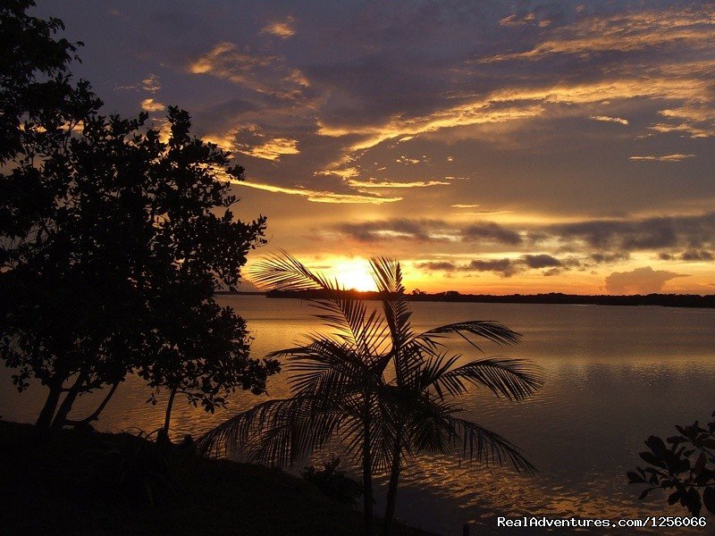 THE VIEW FROM DE AMAZO LAKE  LODGE | Amazon Lake Lodge | Manaus, Brazil | Eco Tours | Image #1/9 | 