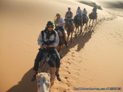 Camel trekking programs.