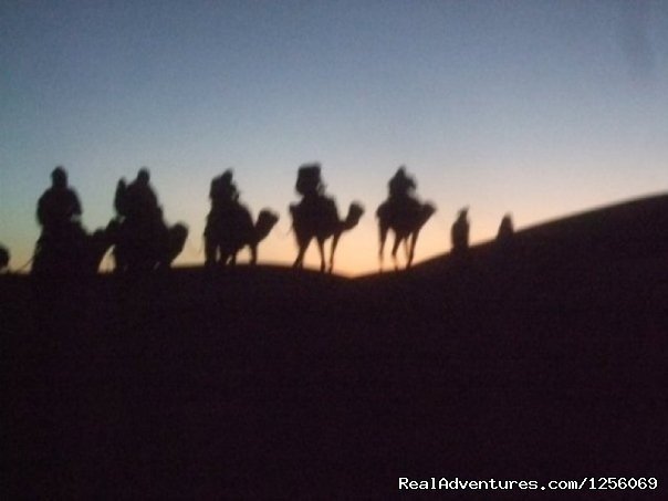 Desert Overnight and camel trekking | Zebra Adventures Cultural Tours | Image #10/17 | 