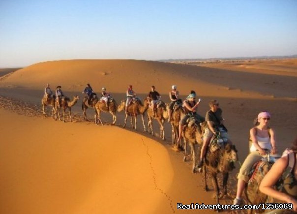 Golden sand dunes | Zebra Adventures Cultural Tours | Image #17/17 | 