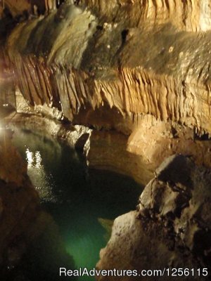 Cosmic Cavern | Berryville, Arkansas Eco Tours | Arkansas Nature & Wildlife