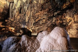DeSoto Caverns | Childersburg, Alabama Cave Exploration | Albertville, Alabama