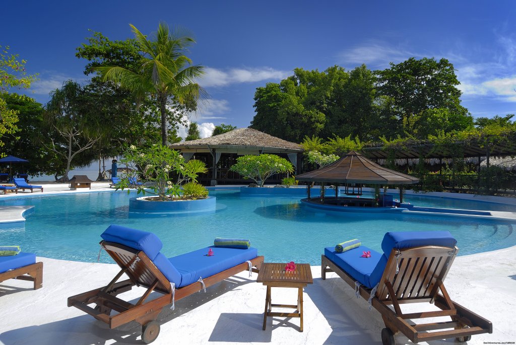 The pool | Romantic accommodation and incredible diving | Image #4/15 | 