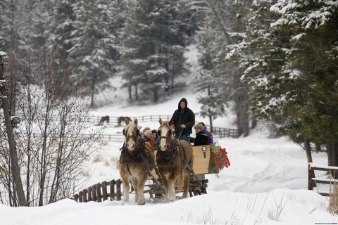 Winter Sleigh Ride | Image #6/26 | Bar W Guest Ranch