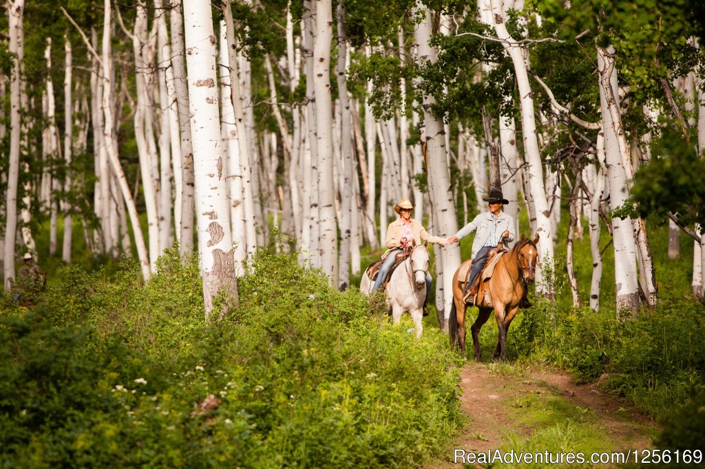 Trail Riding | The Home Ranch | Clark, Colorado  | Horseback Riding & Dude Ranches | Image #1/22 | 
