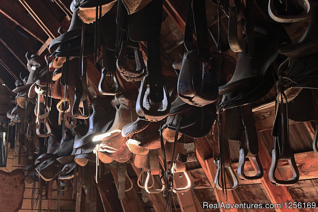 Saddles Hanging Above the Dance Floor | The Home Ranch | Image #4/22 | 