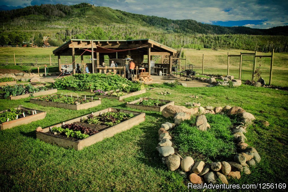 Farm Kitchen | The Home Ranch | Image #7/22 | 
