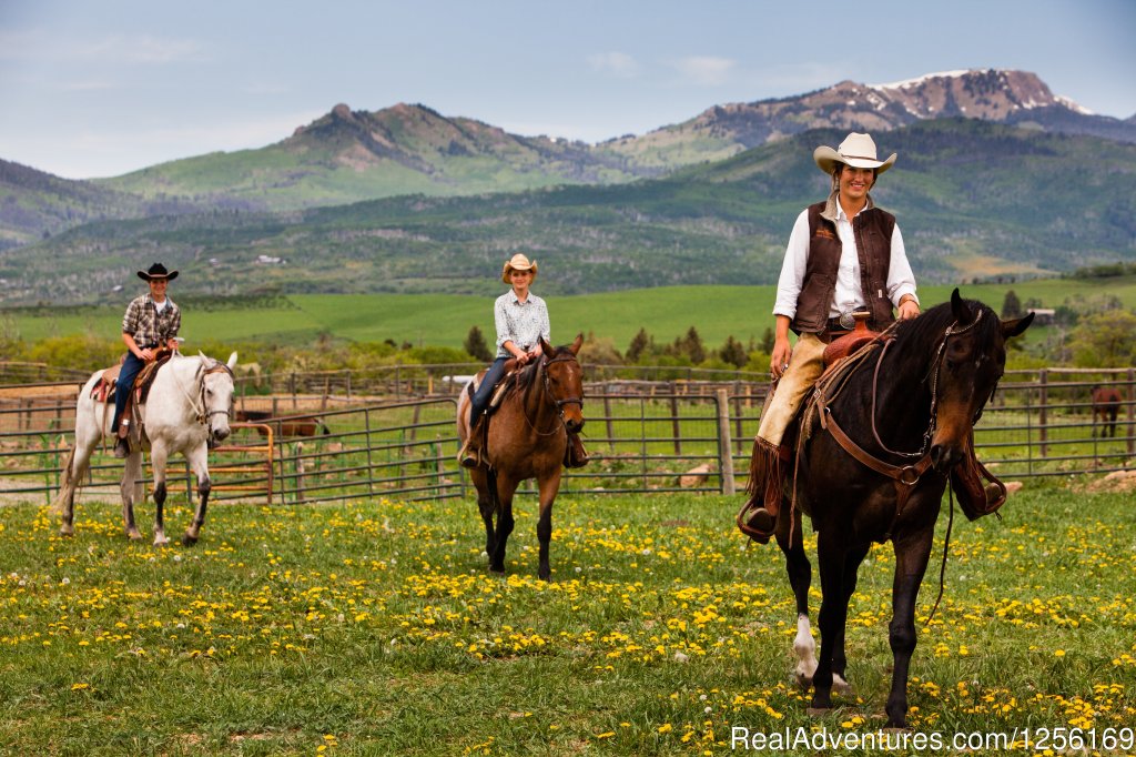 Riding Through the Field | The Home Ranch | Image #3/22 | 