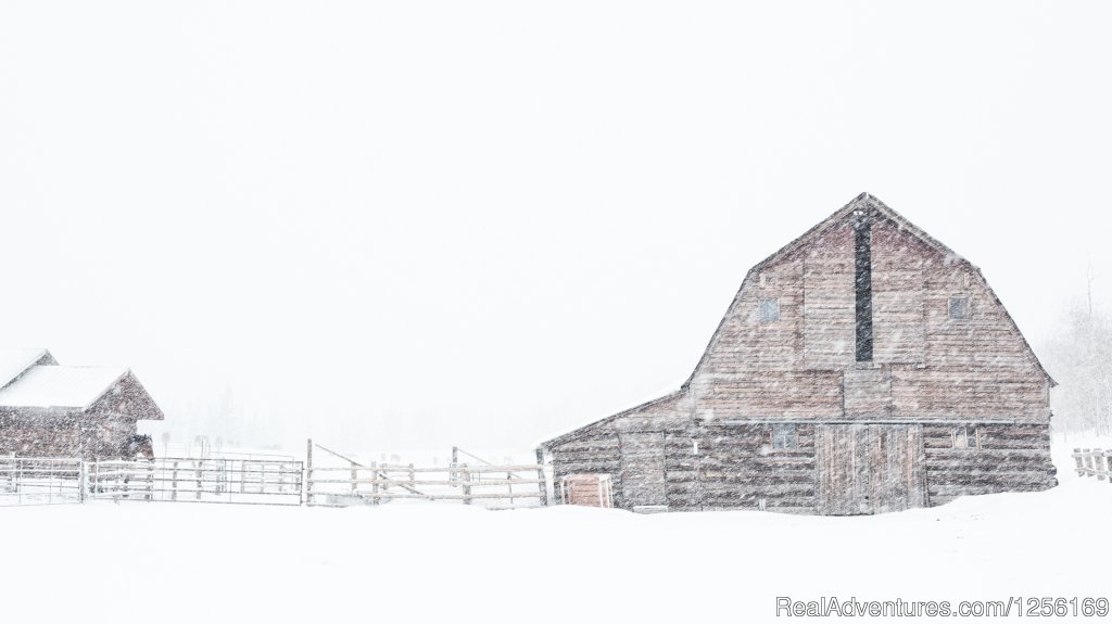 Winter at The Home Ranch | The Home Ranch | Image #17/22 | 