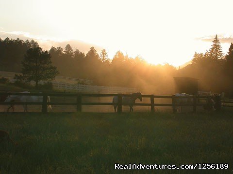 Horseback riding | Escape to North Fork Ranch CO, 1hr from Denver | Image #3/6 | 