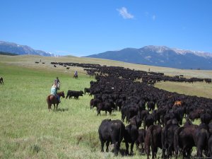 Lazy E-L Guest Ranch | Roscoe, Montana Horseback Riding & Dude Ranches | Cody, Wyoming