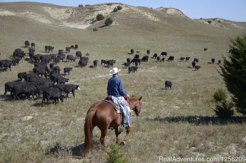 Working Cattle Ranch Vacation At Rowse's 1+1 Ranch | Image #4/8 | 