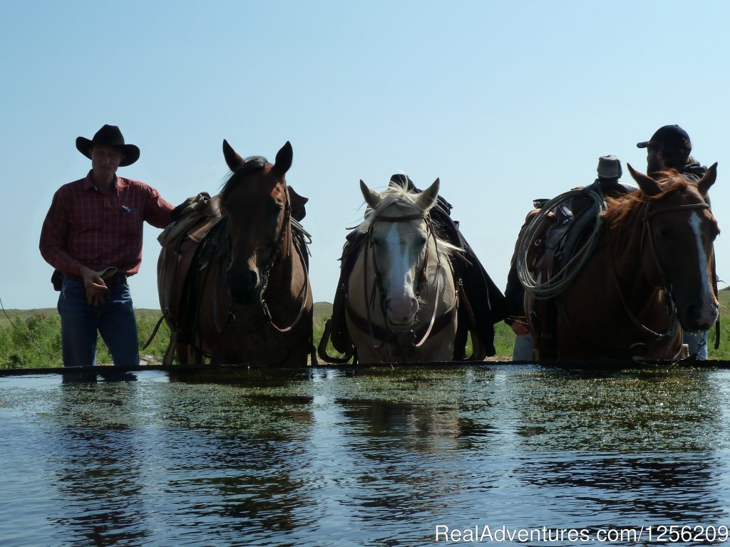 Working Cattle Ranch Vacation At Rowse's 1+1 Ranch | Burwell, Nebraska  | Horseback Riding & Dude Ranches | Image #1/8 | 