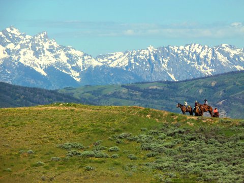 Teton views from one of our rides