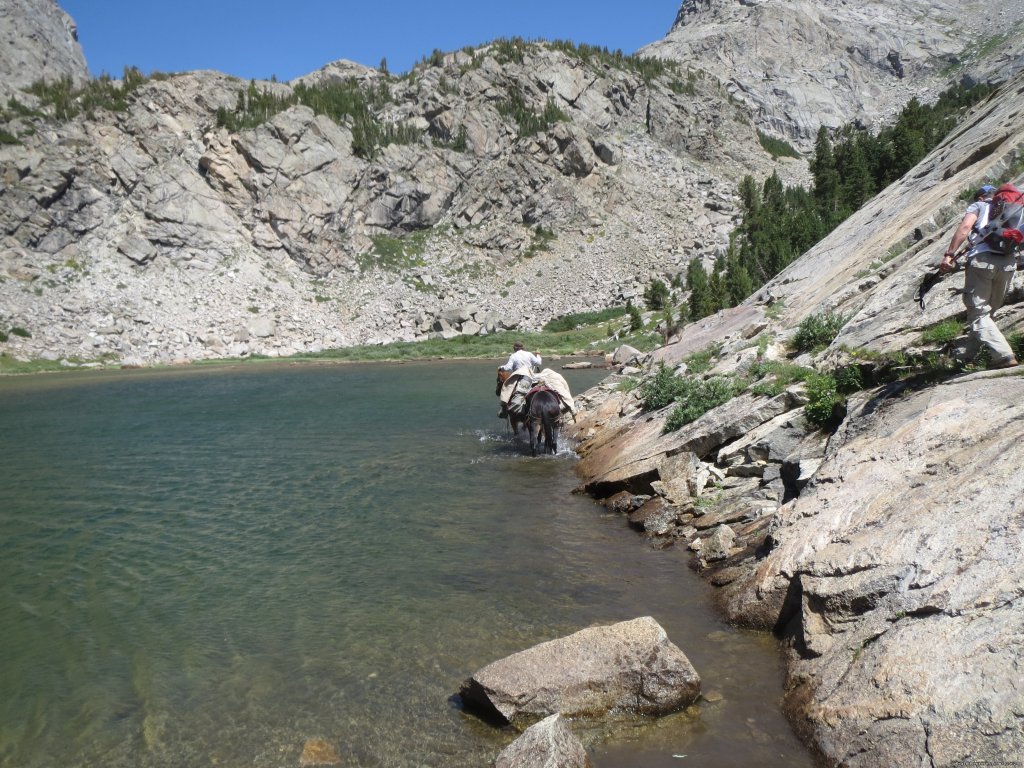 Packing into Jack Ass Pass | Mule Shoe Outfitters | Image #7/22 | 