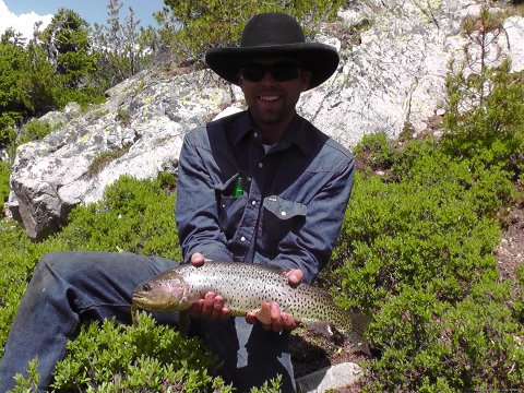 Cutthroat trout