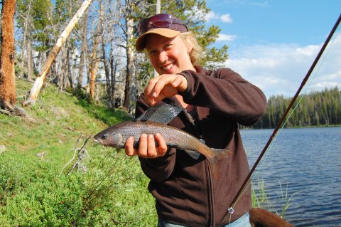 Nice Grayling