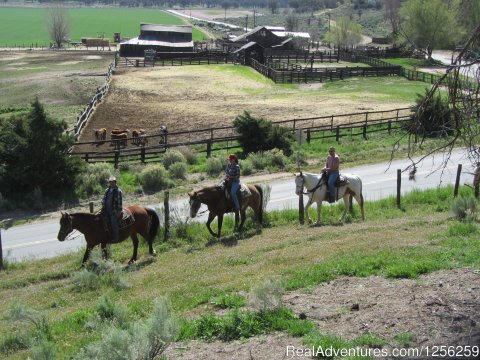 Guided Trail Rides