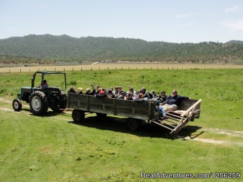 Haywagon Ride