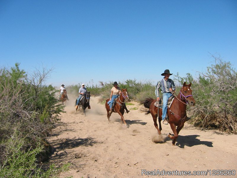 Stagecoach Trails Guest Ranch | Image #5/13 | 