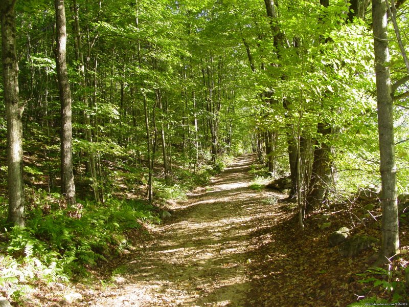 National Forest Walks and Hikes | Inn to Inn - Country Inns Along the Trail | Image #5/8 | 
