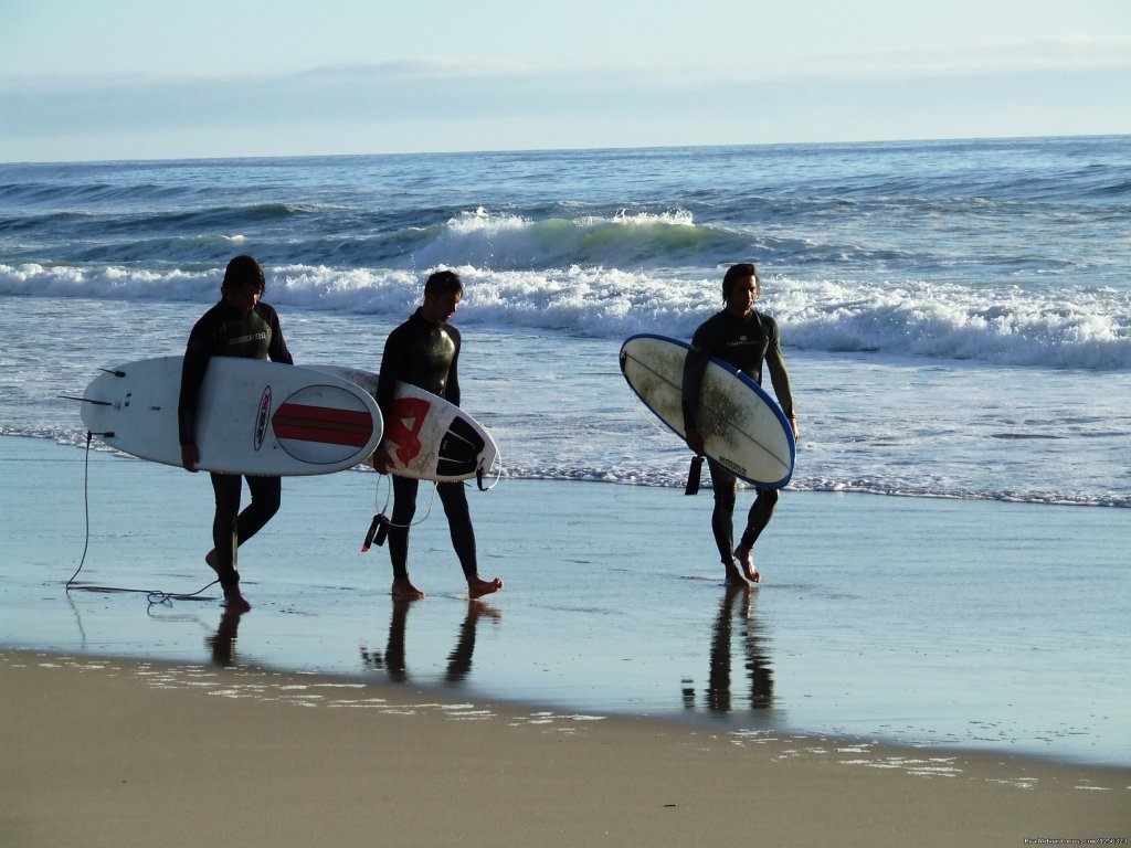 Team Surfivor | Surf Camp In The North Of Portugal. | Image #2/7 | 