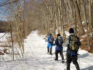 Wonder Walks Snowshoe Tours | Bristol, Vermont Snowshoeing | The Forks, Maine Snowshoeing