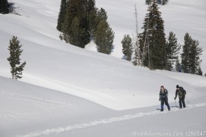 Yellowstone Expeditions Snowshoe Tours