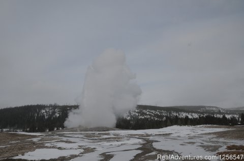 Yellowstone Expeditions Snowshoe Tours | Image #4/9 | 