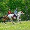The Mountain Top Inn & Resort Horseback Riding
