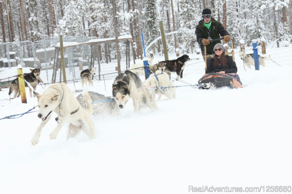 A sled leaving for a great trip through the woods. | Dog Sled Rides of Winter Park | Image #3/5 | 