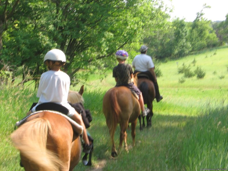 Afternoon of riding trail on horseback | Image #8/23 | 