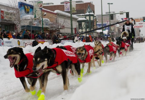 2012 Iditarod Team