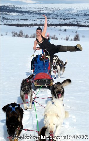 The Silent Way Nordic Wilderness Adventures | Dog Sledding Umnas, Sweden | Dog Sledding Europe
