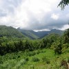 Riverside Glamping in Dominica Riverside Lodge : Dominica's mountains view