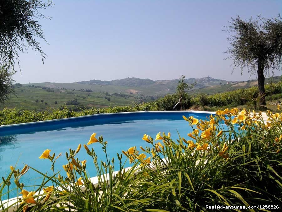 Pool with a View | Holiday Home I Due Padroni - Wine region Milan | Image #18/18 | 