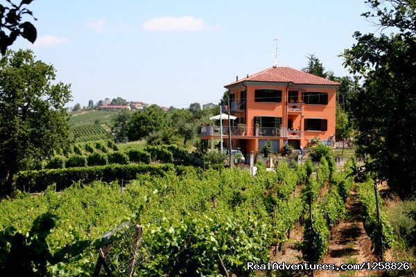 Villa in the Vineyards | Holiday Home I Due Padroni - Wine region Milan | Montecalvo Versiggia, Italy | Vacation Rentals | Image #1/18 | 