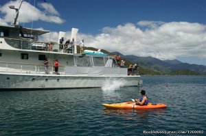 Cruise and explore New Zealand's pristine waters | Picton, New Zealand Sailing & Yacht Charters | Pacific