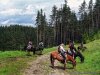 Rodopi Mountains, Bulgaria: On a Horseback In the | Sofia, Bulgaria