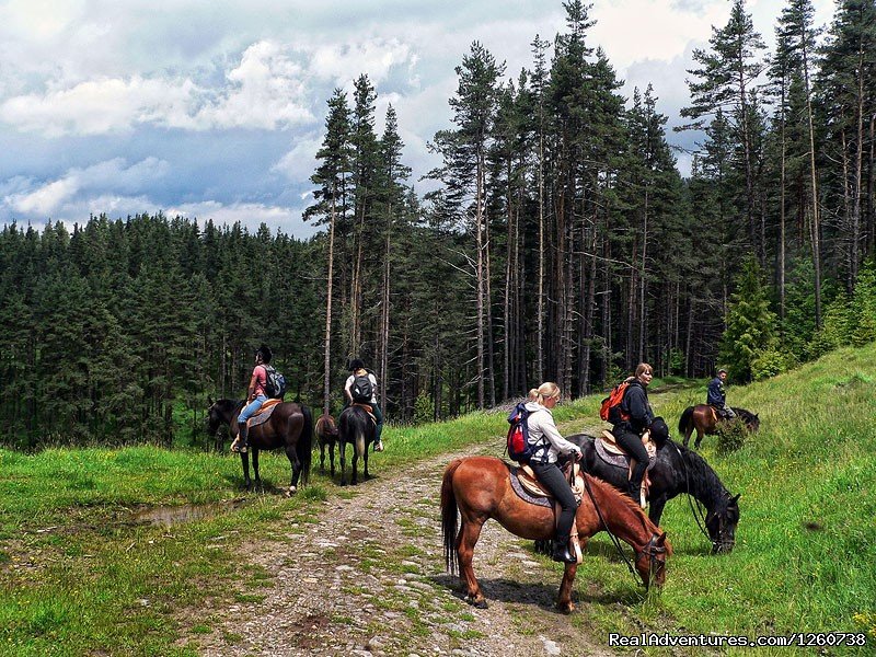 Rodopi Mountains, Bulgaria: On a Horseback In the | Sofia, Bulgaria | Horseback Riding & Dude Ranches | Image #1/18 | 