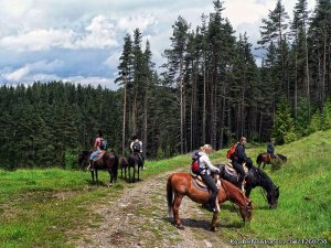 Rodopi Mountains, Bulgaria: On a Horseback In the