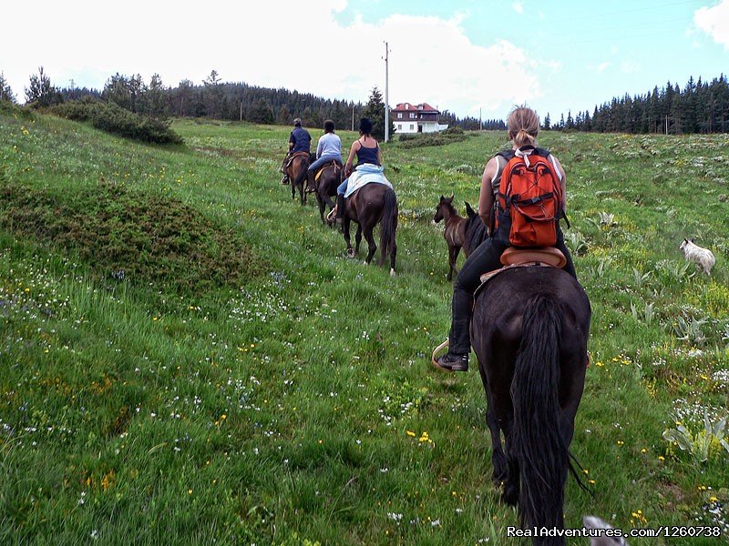 Rodopi Mountains, Bulgaria: On a Horseback In the | Image #4/18 | 