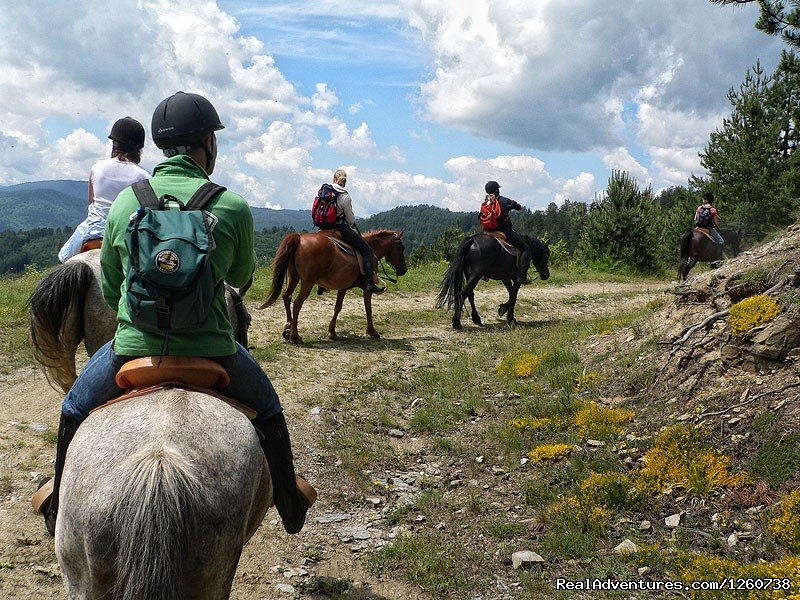 Rodopi Mountains, Bulgaria: On a Horseback In the | Image #8/18 | 