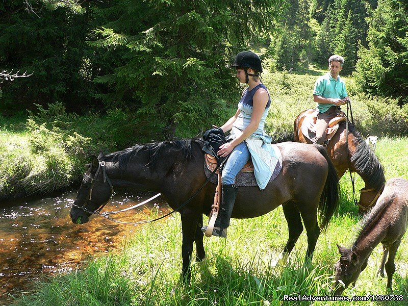 Rodopi Mountains, Bulgaria: On a Horseback In the | Image #10/18 | 