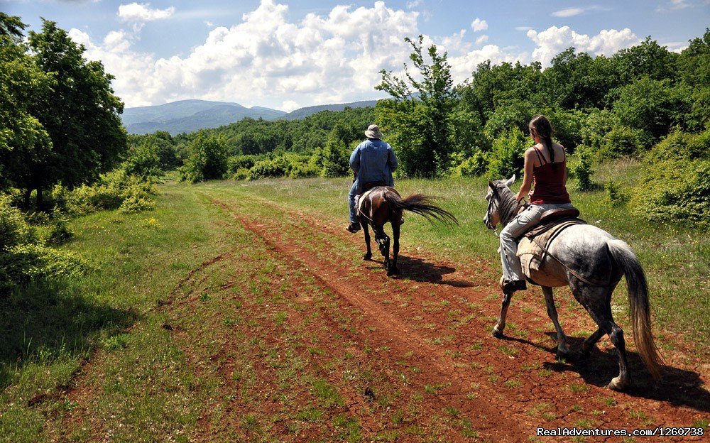 Rodopi Mountains, Bulgaria: On a Horseback In the | Image #15/18 | 