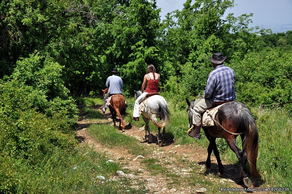 Rodopi Mountains, Bulgaria: On a Horseback In the | Image #16/18 | 