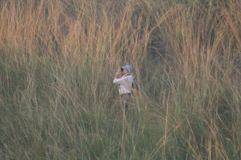 Birding For India